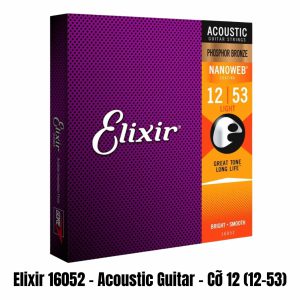 day-dan-guitar-acoustic-elixir (1)